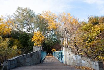 Stevens creek trail nearby